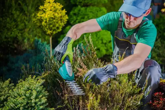 landscaping services Celoron